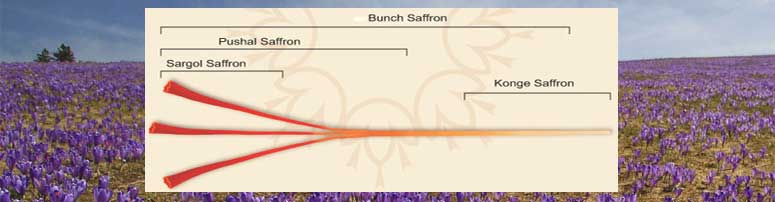 Persian Saffron Grades