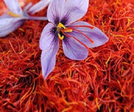 Picture for category Persian Saffron