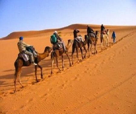 Picture for category Desert Oriented Tours